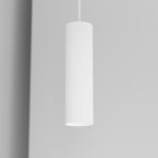 Organo CICCIO 21 - incasso