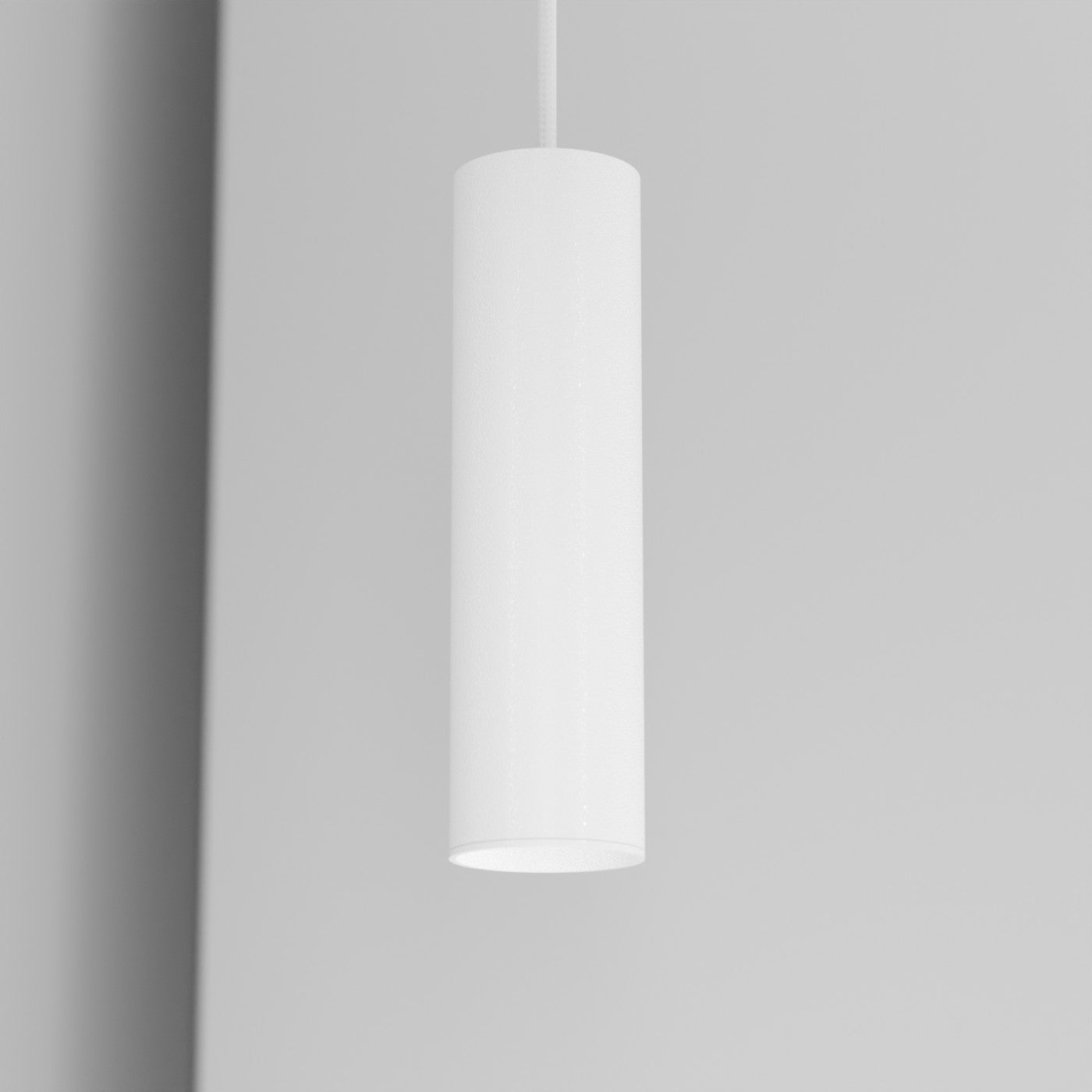 Organo CICCIO 21 - incasso