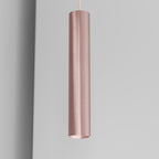 Organo CICCIO 34 - incasso