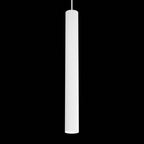 Organo CICCIO 55 - Stromschiene