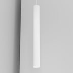 Organo CICCIO 55 - incasso