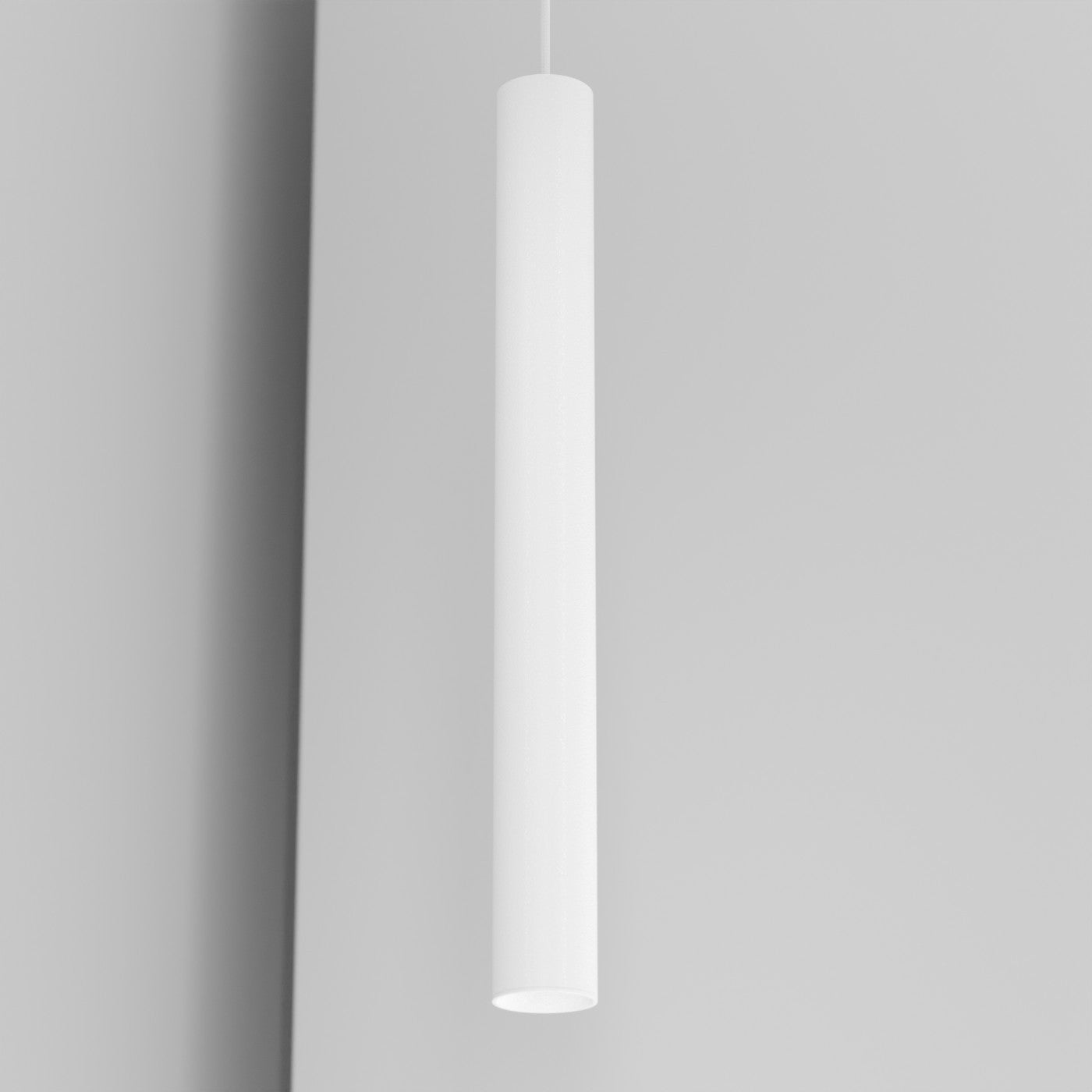 Organo CICCIO 55 - incasso