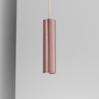 Organo SMILZO 13 - binario