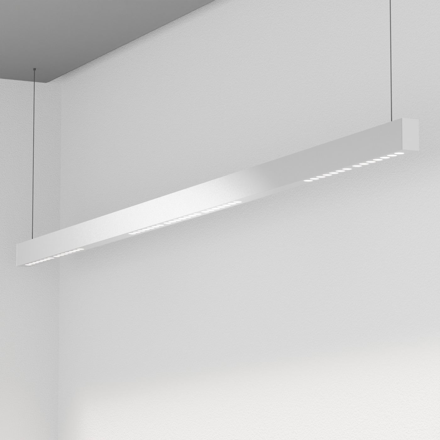 FYLOCOB 15 - sospeso