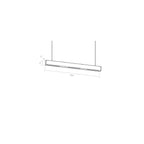 FYLOCOB B6 - sospeso