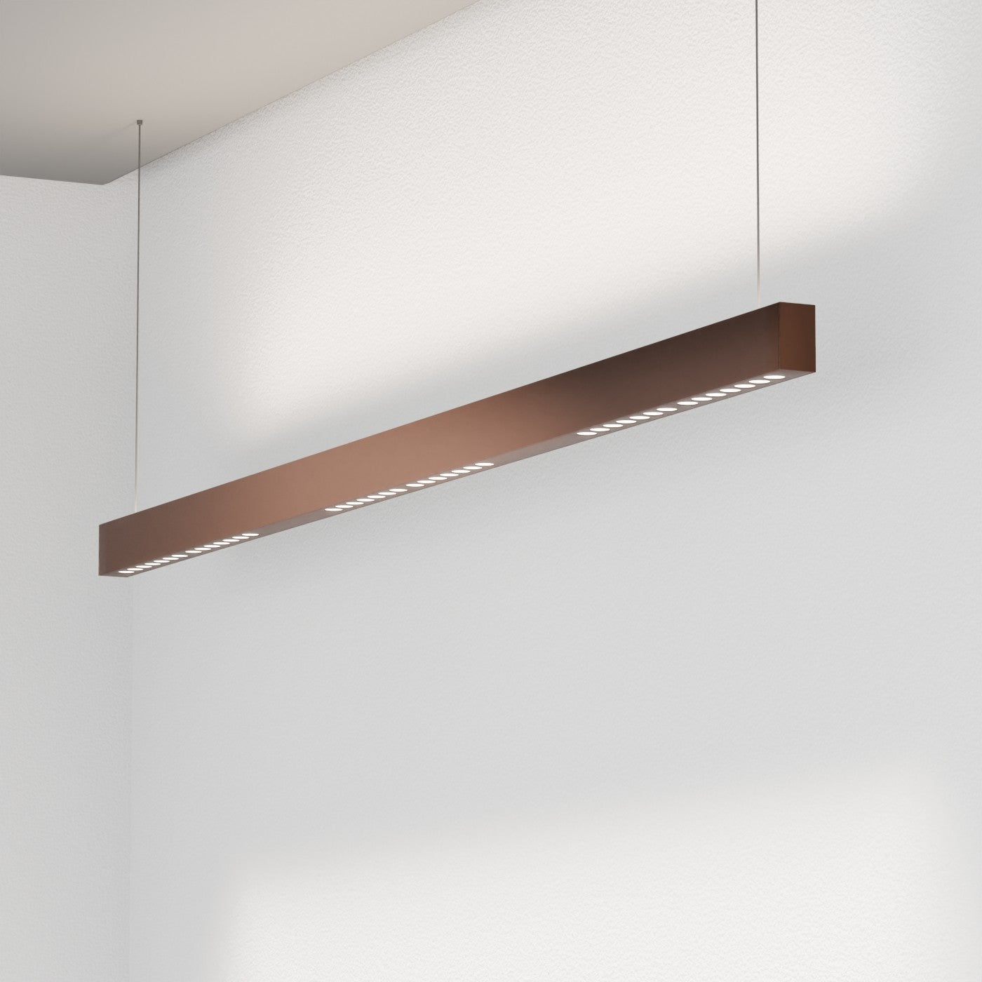 FYLOCOB B12 - sospeso