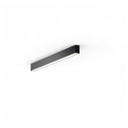 FYLOS 6 - soffitto