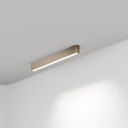 FYLOS 6 - soffitto