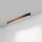 FYLOS 9 - soffitto