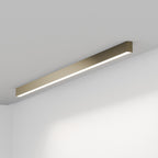FYLOS 12 - soffitto