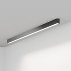 FYLOS 12 - soffitto