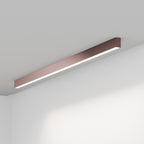 FYLOS 12 - soffitto