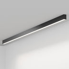 FYLOS 15 - soffitto