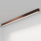 FYLOS 15 - soffitto